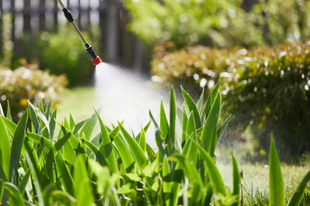 24/7 Emergency Mosquito Control experts in Rock Falls, IL
