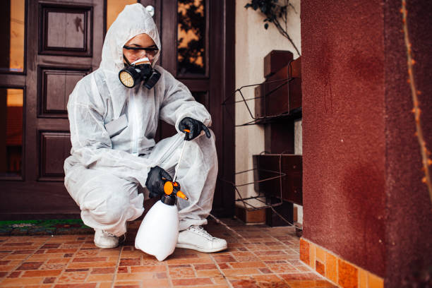 Reliable Mosquito Control contractor in Rock Falls, IL by Show Me Pest Control